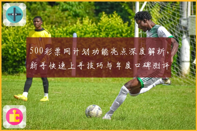 500彩票网计划功能亮点深度解析，新手快速上手技巧与年度口碑测评